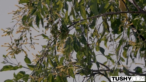 European Anal Adventure in 4k - Anya Olsen