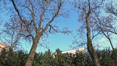 Amalia Davis - Hunt4K