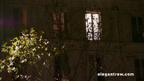 Elen Milion And Sata Jones - ElegantRaw