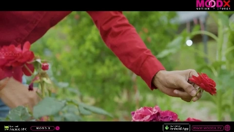 Gulab 69 Uncut (2025) MoodX Hindi Hot Short Film