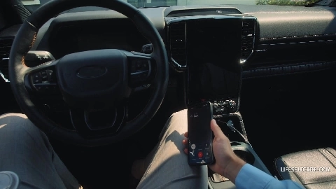 LifeSelector - Alexis Crystal And Lily Blossom - Co Listed