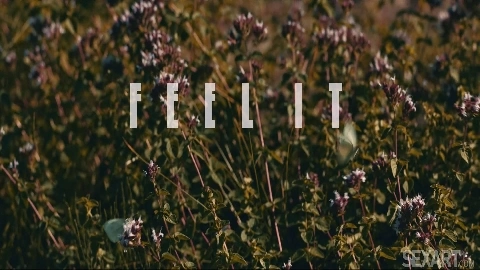 Fibi Euro Feel It - SexArt