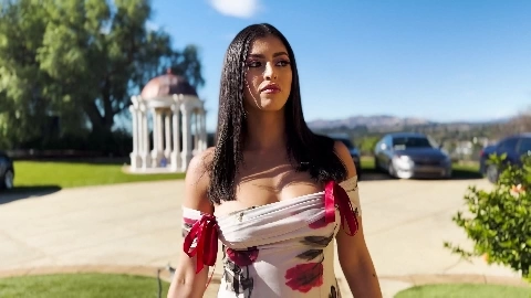 A Friendly Visit - Sophia Leone