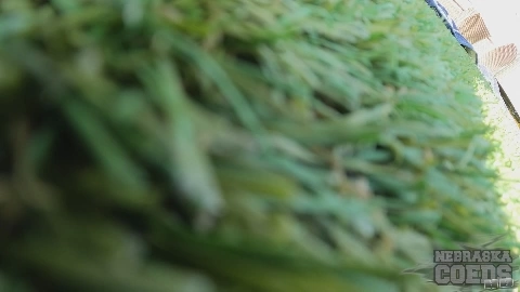 Brille Matty Mila Perez And Rebeka Ruby 2 - NebraskaCoeds