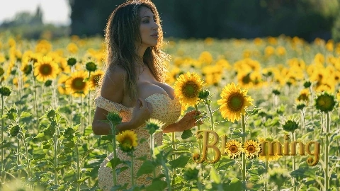 Blooming - Elle Matthews