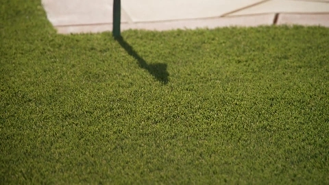 Keeping It in the Family in HD - Stephanie Love