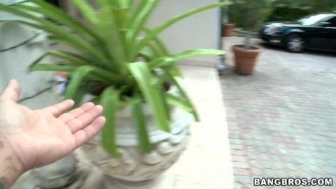 Enormous Double Asses - Abella Anderson, Rebeca Linares