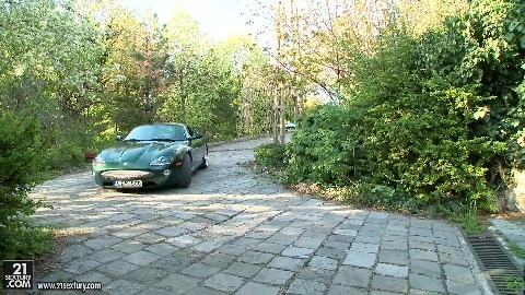 Generous Offer - Stacy Snake