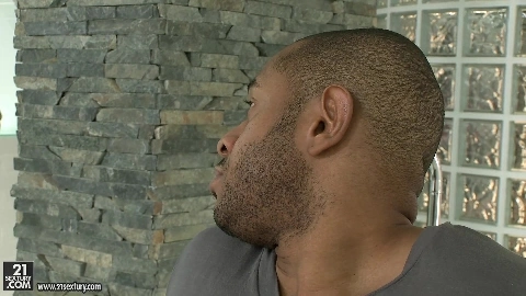 The New Maid - Mira Sunset