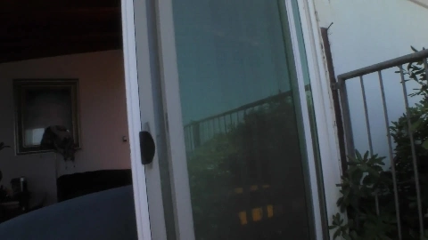 Sheena Shaw - Tommy King