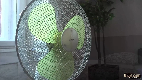 A Tenant To Wish For - Lana Bunny