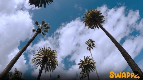 Emma Rosie And Krystal Palmer - DaughterSwap