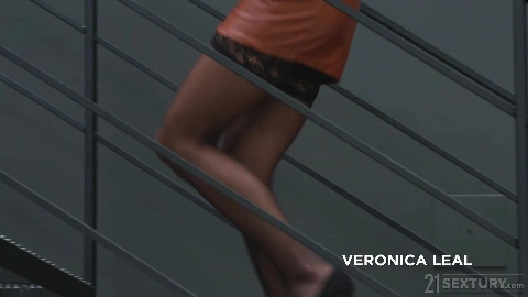 Meeting The Secretary - Veronica Leal