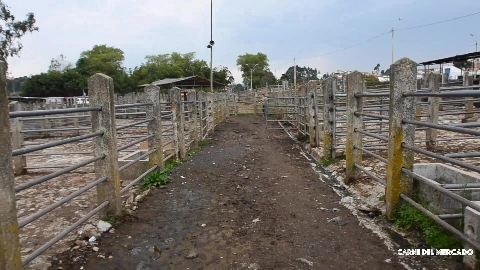 Outdoor Sex For Colombian Girl With Big Ass - Jennifer Rojas, Erik Logan