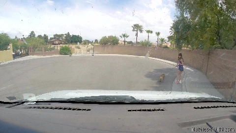 Nubilesporn Bounty Hunters Alexa Nova