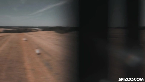 Passionate Anal And Facefucking - Alexis Crystal