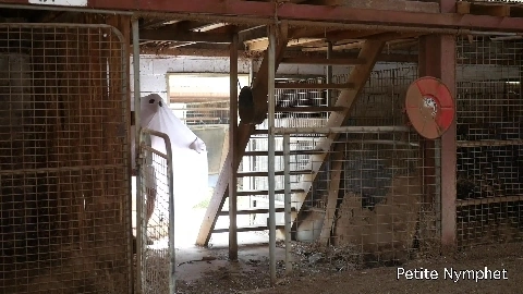 Ghost Thruster Watch Me Get Fucked Creampied By - Naughty Nymphet