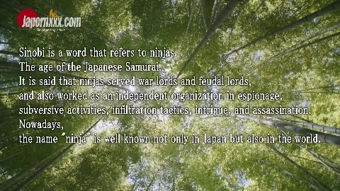 Hime Marie Kunoichi On Mission With Anal Fuck And Creampie - Bananafever