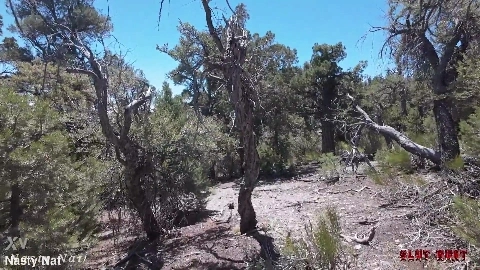 Nasty Nat Natalie Brooks Nade Nasty Slut Hunt Ep 3 Natalie Gets Tied Up And Penatrated - XVideosRED