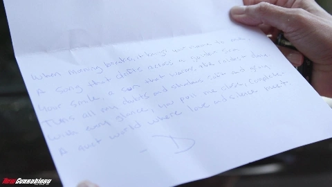 Shay Sights - NewSensations