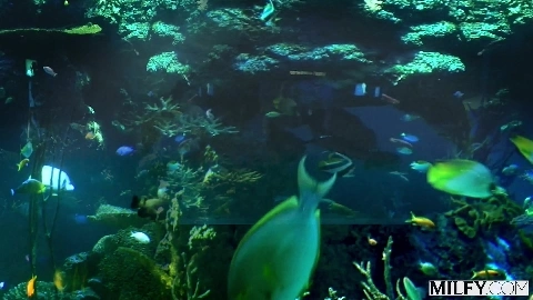 Married Redhead Lauren Gets DPed Lauren Phillips, Parker Ambrose & Dwayne Foxxx