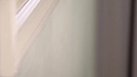 Bunny Colby & Shay Evans Horny Threesome