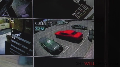 Nina Hartley Mature Executive Meets A Ha - SheWillCheat