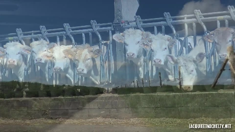 Alexandra Bacchanale - JacquieEtMichelTV