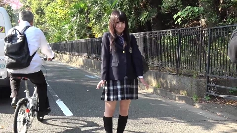 Japanese house maid fun