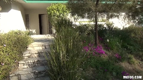 Sasha Pain - PervsOnPatrol