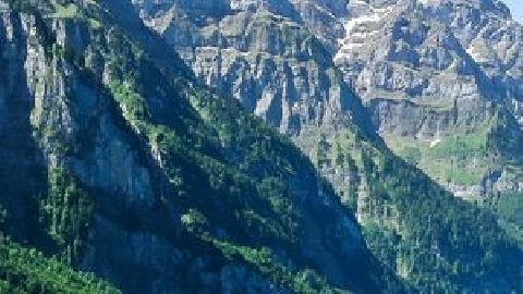 The Naked Interruption - Lady Gang