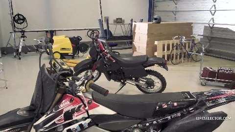 Getting Lucky - Sybil