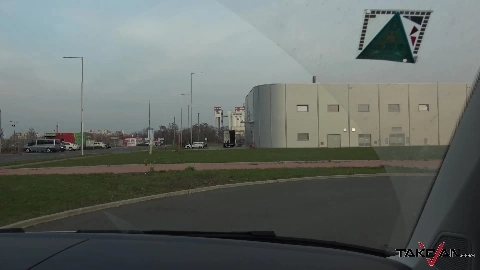 Phoenix Monster Boobs In Public - TakeVan