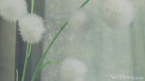 Milena Ray And Agatha Vega Lovely Awakening - VivThomas