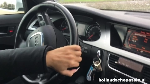 Sasha - HollandschePassie