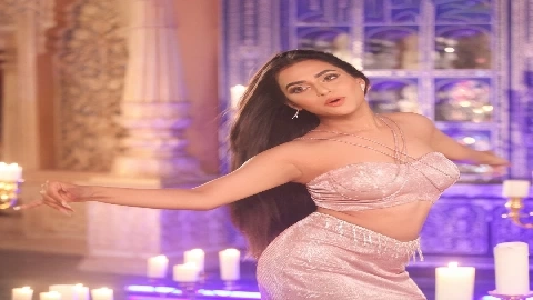 No Pussy - Melany Diazz