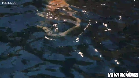 Wild Thing - Brett Rossi