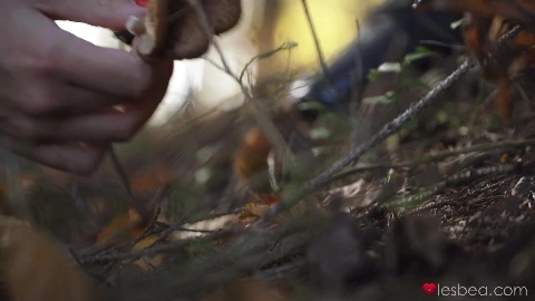 Anastasia Brokelyn, Martina Smeraldi - Lesbea