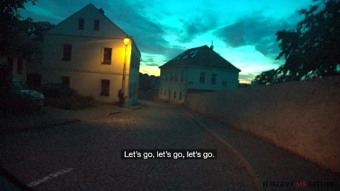 Prostitute with Big Tits fucked raw in van