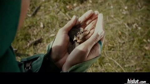 Sex crazed nymphs Eveline Dellai, Lady Dee and Blue ravage a lost traveler