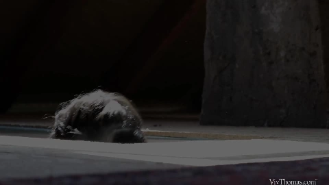 Luna Corazon & Shrima Malati - Derriere Episode 2 - The Attic in HD