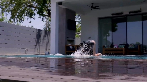 Hard Bodies 4 - Paige Owens