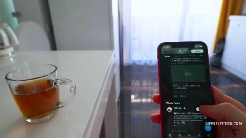 LifeSelector - Kiss Cat