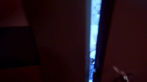 Family Therapy with Step Sister - Purple Bitch & Reislin