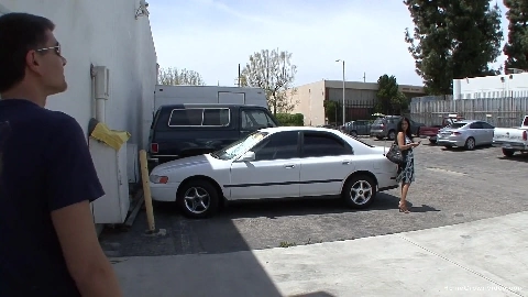 Right place at the right time - Homegrown Wives