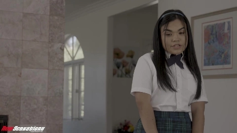 Summer Col - NewSensations