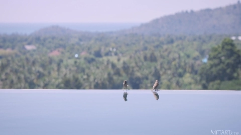 Miss You - Mango A & Danica Jewels