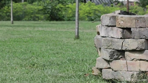 Poolside - Cayla Lions & Sade Rose Derriere Episode 1