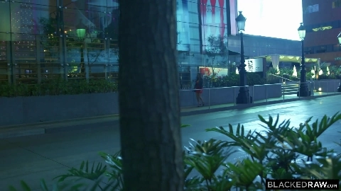 BlackedRaw - Ava Addams - Night With Ava Addams