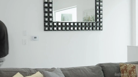 Rachael Cavalli Big Tits On Your Dick - DogHouseDigital